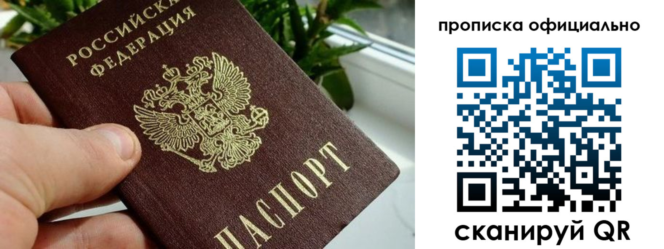 прописка поиск в Норильске